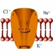 FIVEphoton Membrane Potential Assay Kit | FIVEphoton Biochemicals | MPF-Kit FIVEphoton Membrane Potential Assay Kit | FIVEphoton Biochemicals | MPF-Kit